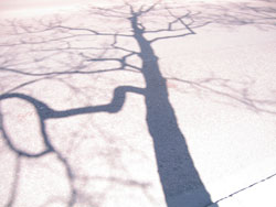 Chris Williams. Counselling Services. I am UKCP registered Psychotherapist and a BACP Senior Counselling Practitioner. As a therapist who has been practicing since 1989, I am able to provide the effective interventions and therapeutic relationship that could provide you with progress and change.